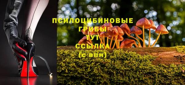 дмт Аркадак