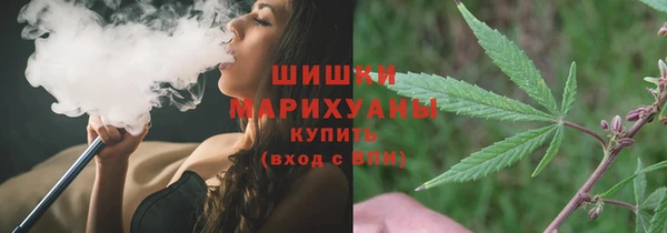 дмт Аркадак