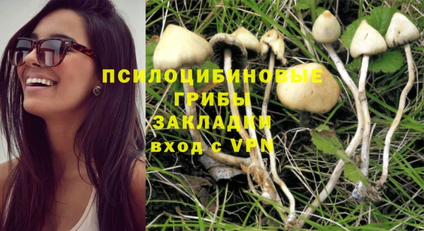 крисы Арсеньев