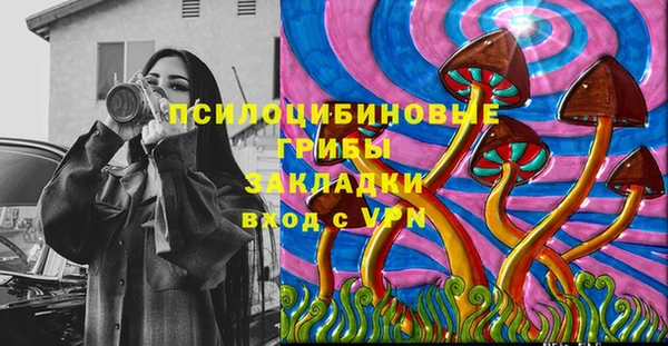 крисы Арсеньев