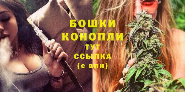 крисы Арсеньев