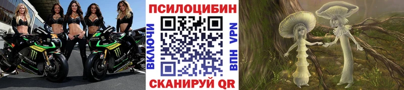 купить наркотик  Барыш  Галлюциногенные грибы Cubensis 